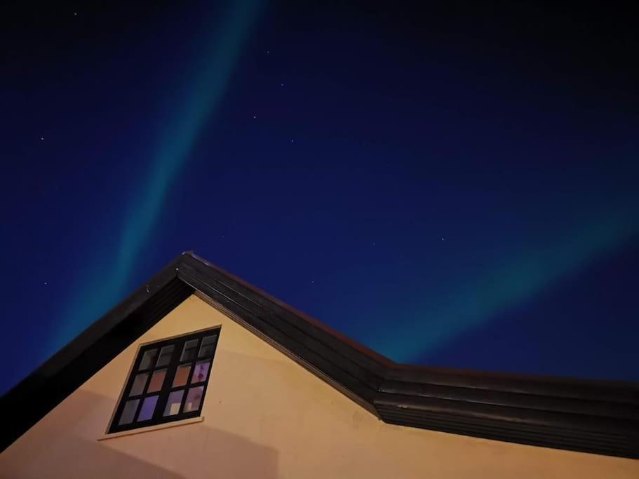 Icelandic Art Garden Villa W. Parking In Centre City Reykjavík Eksteriør billede